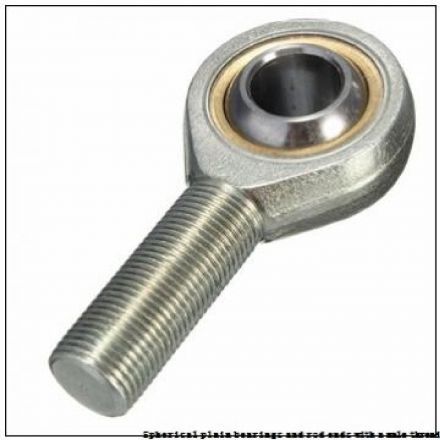 Φωτογραφία zoom