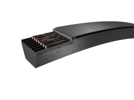 Φωτογραφία zoom